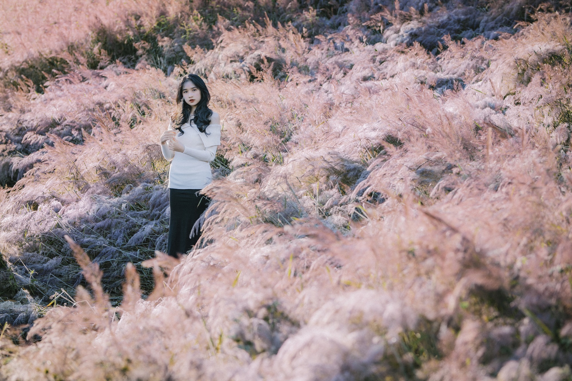 Địa điểm chụp ảnh áo dài ngoại cảnh Tết tại Đà Lạt 2025 Địa điểm chụp ảnh áo dài ngoại cảnh Tết tại Đà Lạt 2025