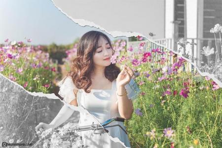 Dịch vụ ghép ảnh chuyên nghiệp: Giải pháp tối ưu cho những bức hình hoàn hảo Dịch vụ ghép ảnh chuyên nghiệp: Giải pháp tối ưu cho những bức hình hoàn hảo