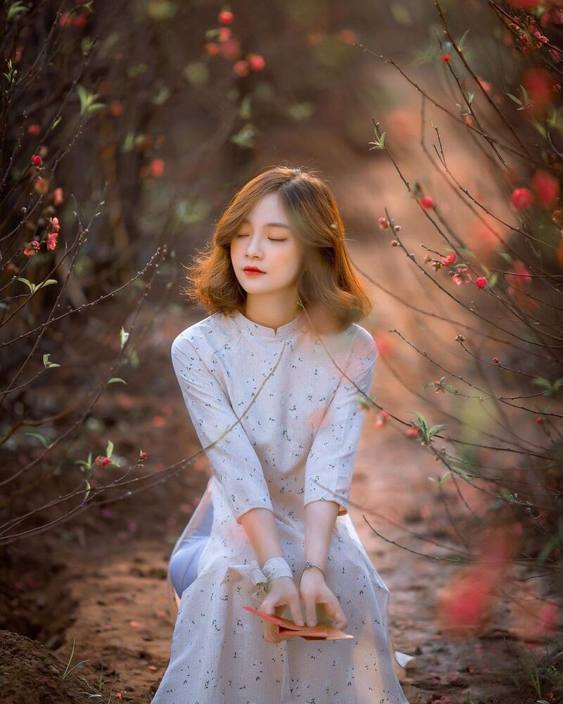 Tết 2026: Cơ hội chụp ảnh miễn phí tại Hà Nội